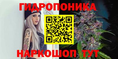 гидропоника Кумертау