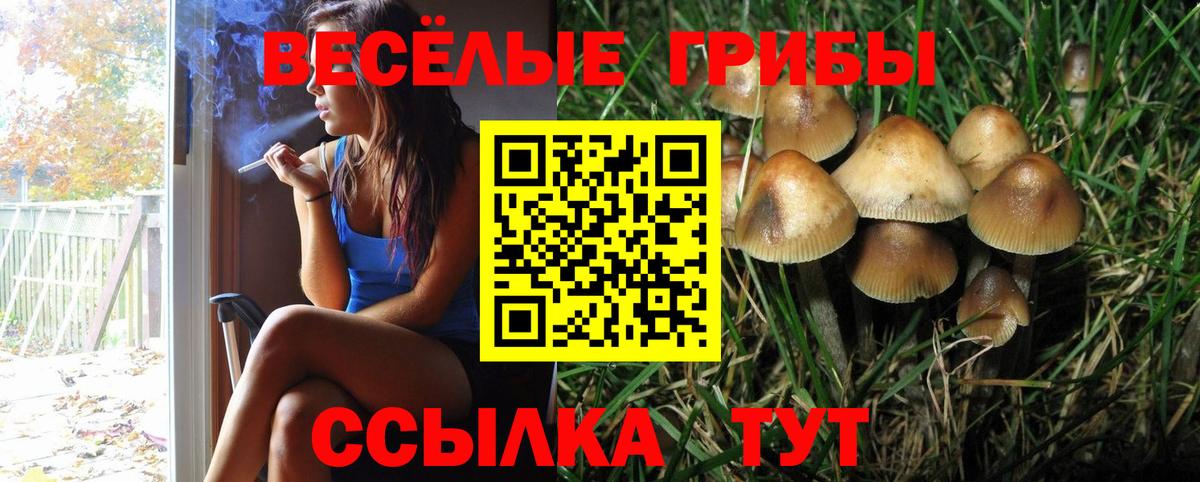 где купить   Вход с VPN  Димитровград  Галлюциногенные грибы Magic Shrooms  Псилоцибиновые грибы мухоморы 