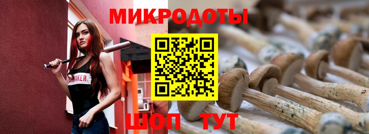 Псилоцибиновые грибы MAGIC MUSHROOMS Димитровград